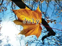 Định nghĩa của từ <b>July</b>