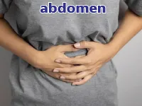 Định nghĩa của từ <b>abdomen</b>