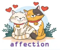 Định nghĩa của từ <b>affection</b>