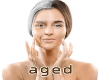 Định nghĩa của từ <b>aged</b>