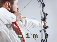Định nghĩa của từ <b>aim</b>