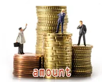 Định nghĩa của từ <b>amount</b>