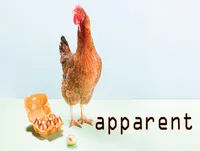 Định nghĩa của từ <b>apparent</b>