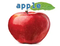 Định nghĩa của từ <b>apple</b>
