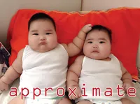 Định nghĩa của từ <b>approximate</b>