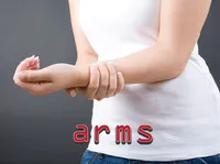 Định nghĩa của từ <b>arms</b>