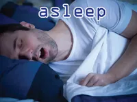 Định nghĩa của từ <b>asleep</b>