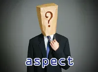 Định nghĩa của từ <b>aspect</b>