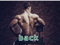 Định nghĩa của từ <b>back</b>
