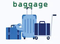 Định nghĩa của từ <b>baggage</b>