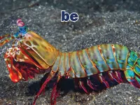 Định nghĩa của từ <b>be</b>