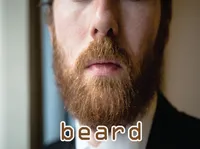 Định nghĩa của từ <b>beard</b>