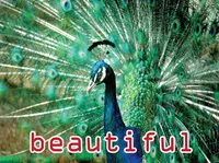 Định nghĩa của từ <b>beautiful</b>