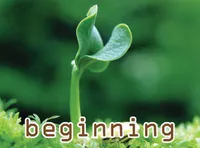 Định nghĩa của từ <b>beginning</b>