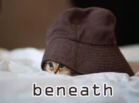 Định nghĩa của từ <b>beneath</b>