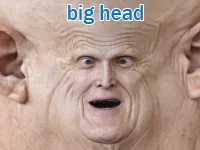 Định nghĩa của từ <b>big-head</b>