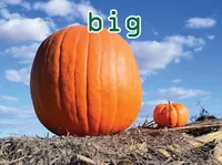 Định nghĩa của từ <b>big</b>
