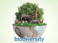 Định nghĩa của từ <b>biodiversity</b>