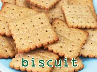 Định nghĩa của từ <b>biscuit</b>