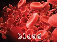 Định nghĩa của từ <b>blood</b>