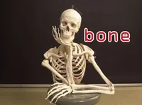 Định nghĩa của từ <b>bone</b>