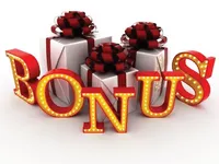 Định nghĩa của từ <b>bonus</b>