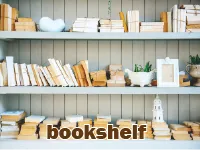 Định nghĩa của từ <b>bookshelf</b>