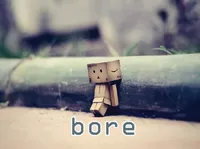Định nghĩa của từ <b>bore</b>