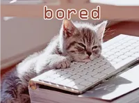 Định nghĩa của từ <b>bored</b>