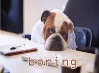 Định nghĩa của từ <b>boring</b>