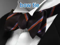 Định nghĩa của từ <b>bow tie</b>