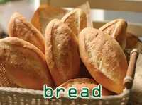 Định nghĩa của từ <b>bread</b>
