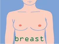 Định nghĩa của từ <b>breast</b>