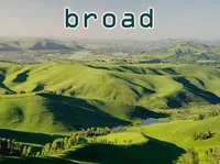 Định nghĩa của từ <b>broad</b>