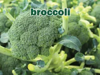 Định nghĩa của từ <b>broccoli</b>
