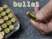 Định nghĩa của từ <b>bullet</b>