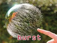 Định nghĩa của từ <b>burst</b>