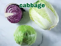 Định nghĩa của từ <b>cabbage</b>