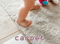 Định nghĩa của từ <b>carpet</b>