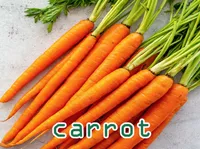 Định nghĩa của từ <b>carrot</b>