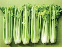 Định nghĩa của từ <b>celery</b>