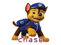Định nghĩa của từ <b>chase</b>
