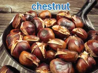 Định nghĩa của từ <b>chestnut</b>