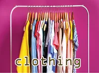 Định nghĩa của từ <b>clothing</b>