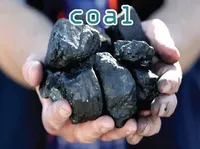 Định nghĩa của từ <b>coal</b>