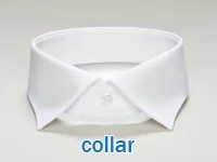 Định nghĩa của từ <b>collar</b>