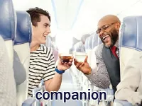 Định nghĩa của từ <b>companion</b>