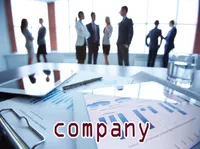 Định nghĩa của từ <b>company</b>