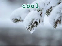 Định nghĩa của từ <b>cool</b>