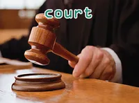 Định nghĩa của từ <b>court</b>